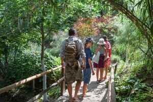 Botanic Park of Crete