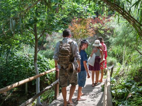 Botanic Park of Crete