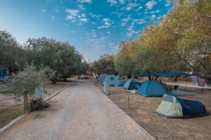 Nissos Camping
