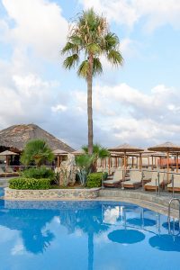 Theo Hotel