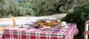 Eleonas Eco-Agro Touristic Hotel